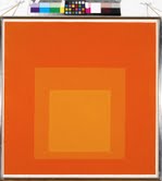 Imparare a vedere: Josef Albers professore